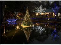 京王フローラルガーデン アンジェにて「アンジェのクリスマス」を開催！