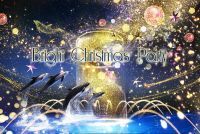 【マクセル アクアパーク品川】イルカたちが星空の海で繰り広げる“クリスマスパーティー”へと誘います。「Bright Christmas Party」【2020年11月7日(土)~12月25日(金) 】