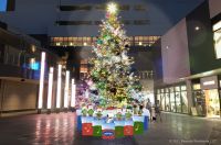 世界中で愛されるスヌーピーの世界が広がる　「グランベリーパーク クリスマス スウィートメロディ」開催　スヌーピーとコラボレーションしたクリスマスツリーやイルミネーションが登場！