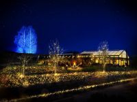 【いばらきフラワーパーク】11月13日（土）より、ランタンや焚き火を囲む新たなイルミネーションシーズンがスタート！