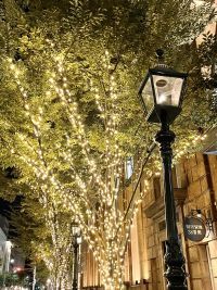 大丸神戸店旧居留地イルミネーション＆旧居留地ウインターガーデン