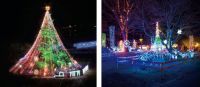 日本最大級！高さ30mを超えるジャンボクリスマスツリーが登場　『第35回 宮ヶ瀬クリスマス みんなのつどい～宮ヶ瀬光のメルヘン～』　ツリーとプロムナード合わせて約51万球が輝くイルミネーション