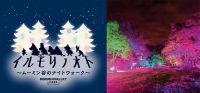 イルミネーション×森×音の新アトラクション「ムーミン谷のナイトウォーク～イルモリノオト～」を今冬開催