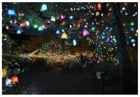 自然の中で楽しむ展覧会「六甲ミーツ・アート芸術散歩2022」 期間限定で夜間作品が鑑賞できる「ひかりの森～夜の芸術散歩～」 9月23日(金・祝)～土日祝日限定で開催！