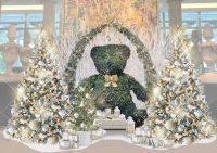 クリスマス宿泊プランの販売やサステナブルなイルミネーション開始