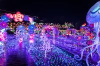 ～日本初！体験型イルミネーション～伊豆ぐらんぱる公園「伊豆高原グランイルミ～8thシーズン～」