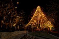 神戸布引ハーブ園に25mの巨大クリスマスツリーが11/18（金）から新登場。森の中にある25mのメタセコイアがツリーに、そして森もライトアップされ新しいクリスマス空間が誕生します。