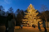 【軽井沢星野エリア】高さ10mのもみの木のクリスマスツリーで街を彩る「軽井沢星野エリアのクリスマス2022」を開催
