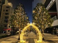“冬の風物詩”秋葉原の街を彩る『UDX Illumination 2022』が11月5日~12月25日開催