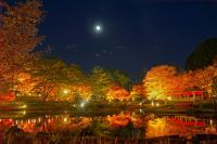 晩秋の修善寺虹の郷、夜空を彩る光の競宴『もみじライトアップ』＆『願いを込めて！虹の郷スカイランタン』＆『秋の花火大会』を開催（修善寺虹の郷では「ふじのくに地域クーポン」をご利用頂けます。）