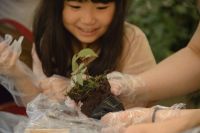 苗木づくりワークショップイメージ