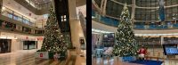 羽田空港第1・第2ターミナルにクリスマスツリーが登場！