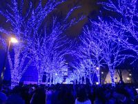 渋谷公園通りから代々木公園ケヤキ並木にかけてのイルミネーションイベント『青の洞窟 SHIBUYA』が3年ぶりに帰ってきます！