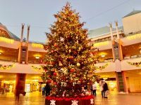 イクスピアリ®に7メートルのクリスマスツリーが今年も登場！