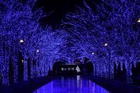 約320万人が訪れた大人気イルミネーションイベント開催中！『青の洞窟 SHIBUYA』