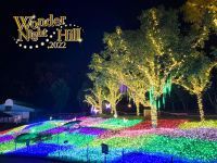 大阪・堺　ハーベストの丘で約100万球のイルミネーションが輝く 「Wonder Night Hill 2022」2023年2月下旬まで開催！