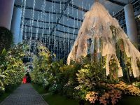 360度、お花とイルミに包まれる。あわじグリーン館「光と花のウインターガーデン」