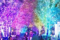 【東京ミッドタウン日比谷】HIBIYA Magic Time Illumination 2023 　期間：2023年11月16日(木)～ 2024年2月14日(水)