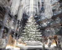 全長約13mの本物のモミの木「White Layer Tree」がアトリウムに出現 KITTEのクリスマスイベント「WHITE KITTE」開催