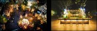 都心にありながら緑豊かな空間に「星の降る森」をイメージしたイルミネーション「OMOHARA Christmas illumination」開催