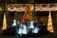 練馬区立 四季の香ローズガーデン、ウィンターワンダーランド開催／温かい光のクリスマスイルミネーションが夜のバラ園を彩る