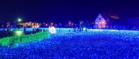 敦賀港を光で彩るイルミネーション「ミライエ」開幕！過去最多65万球LEDで幻想世界に