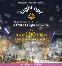 【和歌山けやき大通りイルミネーション】今年は100万球「KEYAKI LIGHT PARADE」2024年11月23日 スタート！！