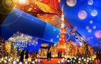 【東京タワー】TOKYO TOWER Winter Fantasy ～Orange illumination 2024～