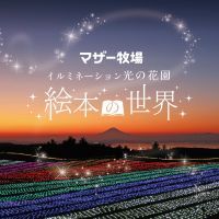 標高約300ｍからの絶景とイルミネーションのコラボは必見！【土日祝限定】マザー牧場イルミネーションイベント 11月2日(土)より開催中！