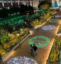 「深川ギャザリア」で、イルミネーション『Blooming the Future ー 未来を、花咲かせよう ー』がスタート