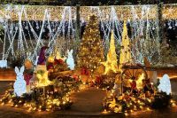 「練馬区立 四季の香ローズガーデン」ガーデンイルミネーション開催／温かな光で冬のローズガーデンを包み込む