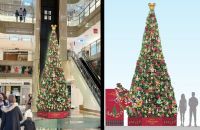 2つのターミナルで心温まるひとときを　羽田空港が贈る特別なクリスマスイルミネーション