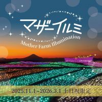 【標高約300ｍ】マザー牧場から望む東京湾の景色とイルミのコラボは必見！