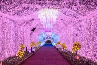 時之栖イルミネーション「ひかりのすみか」が、イルミネーションアワードで　第3位を受賞