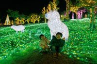 【15,000人突破】約100万球が灯るイルミネーション【ハーベストの丘】