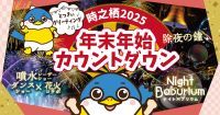 御殿場高原 時之栖 30周年記念 大晦日カウントダウン ～花火×噴水レーザー×ダンスで迎える新年～ 幻想の光と音が紡ぐ年越しイベント開催！