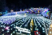 「Winter Illumination2025 」開催！【国営アルプスあづみの公園　堀金・穂高地区】