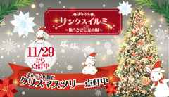 期間限定クリスマスツリー