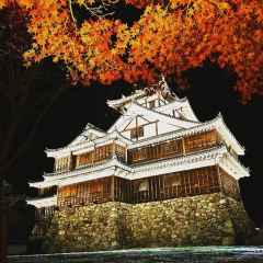 紅葉ライトアップ