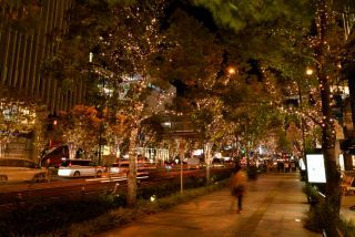 シャンパンゴールドイルミネーション 126本の樹木を飾る約40万球のLEDが、一斉に点灯しました。