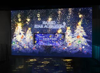 「Welcome Christmas Tree　※イメージ」