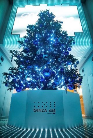 生木のクリスマスツリー