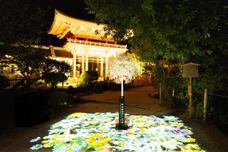 賀茂別雷神社