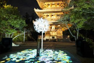 仁和寺