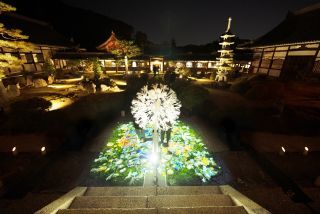 興聖寺