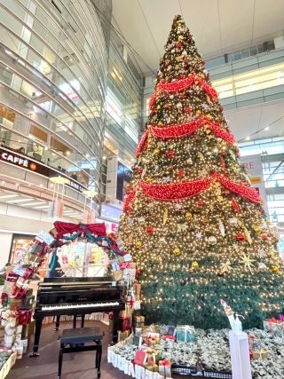 ＜「相模大野ステーションピアノ」 （一昨年の様子）＞