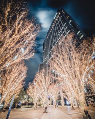 仙台トラストシティ Winter Illuminationの様子 2