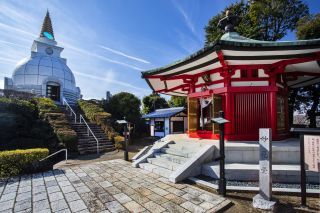 貸出画像「聖なる森エリアの文化財」
