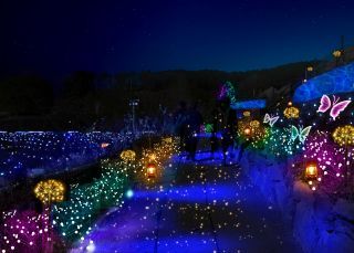 ヒカリの散歩道　※写真はイメージです