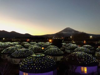 ※写真は昨年のものです